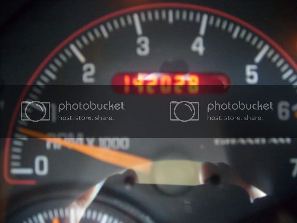 S6300231.jpg
