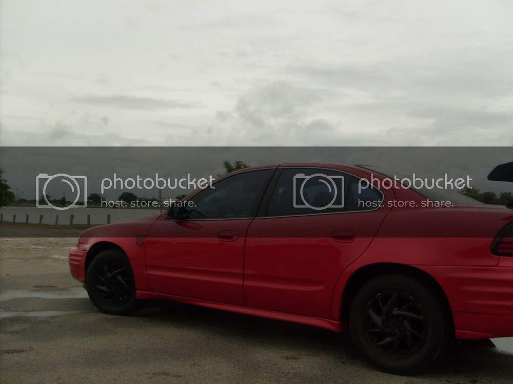 S6300246.jpg