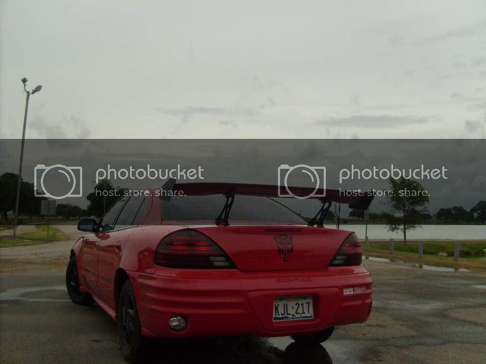 S6300247.jpg