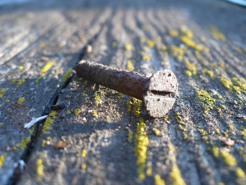 Screw_the_past_by_QuanticChaos1000.jpg