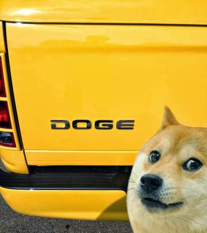 Shibe-Doge-Meme-Landed-A-Big-Gig-With-Th