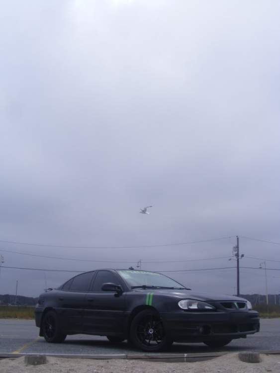 Stealth16.jpg