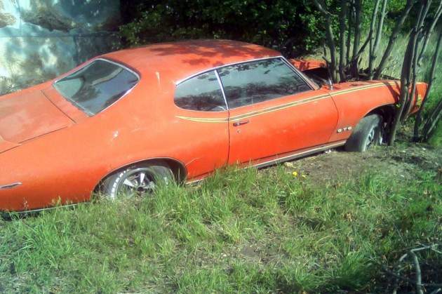Treed-Goat-Pontiac-Judge-630x419.jpg