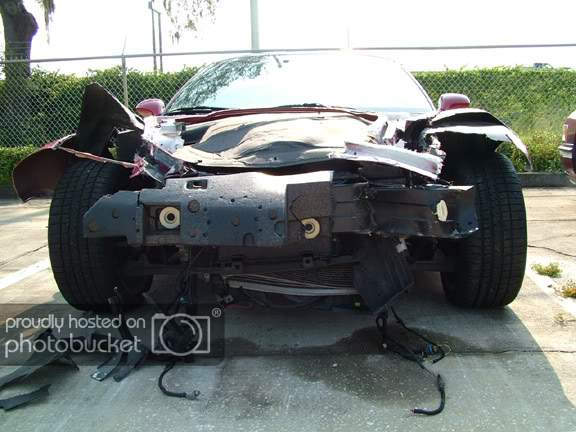 Vette.jpg