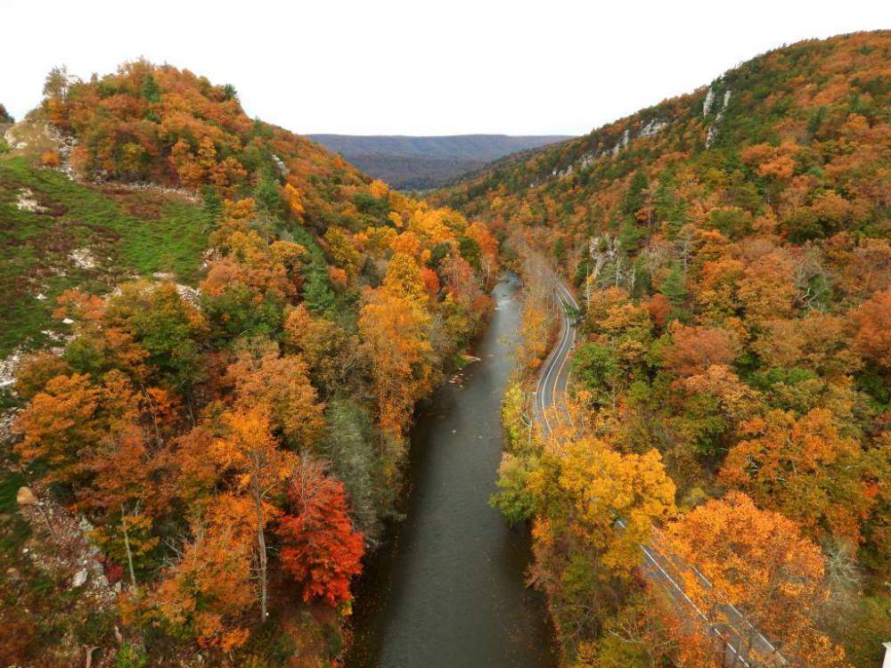 WV017_zps588013f4.jpg