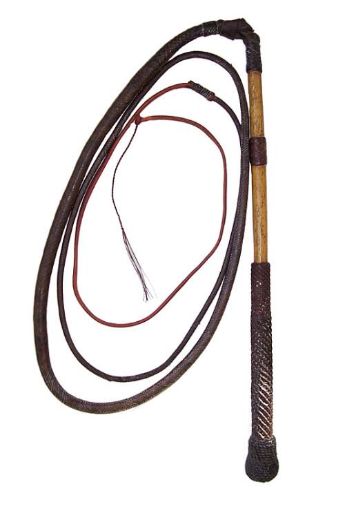 Whip_Collectors_-_Johnny_Cadell.jpg