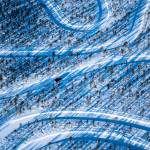 Winter-Tire Test: Six Top Brands Tested, Compared
