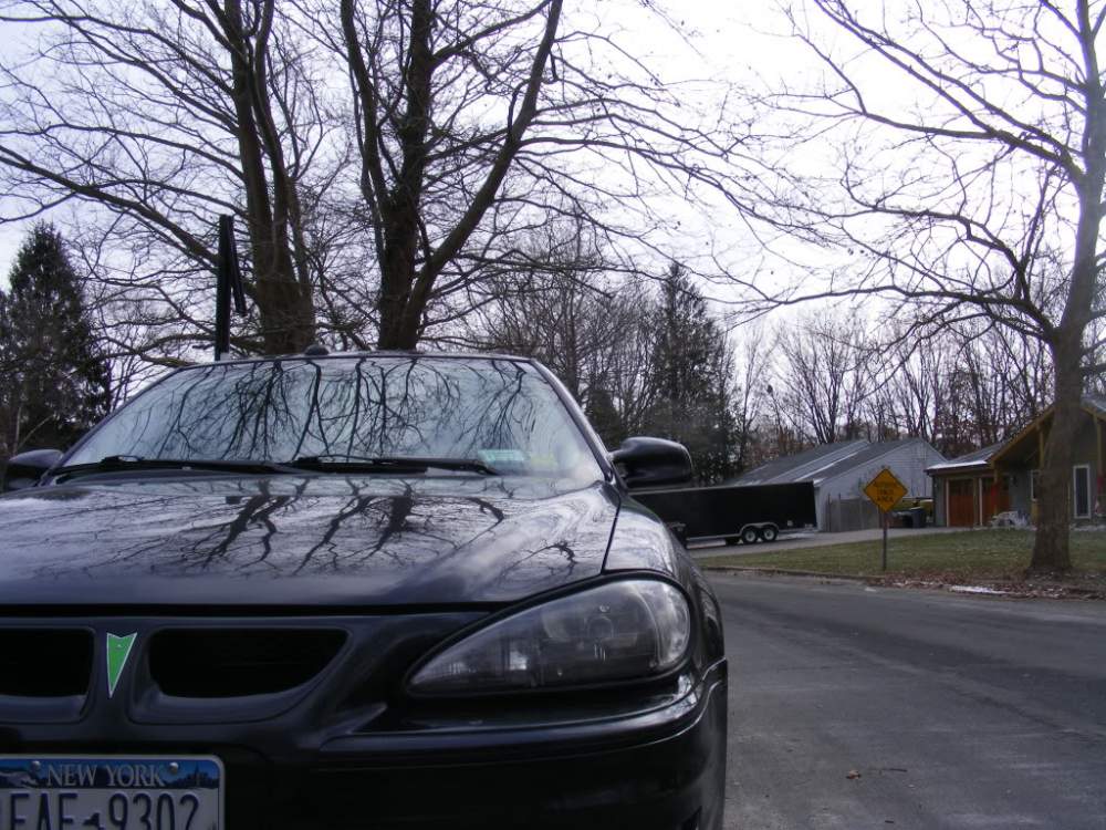 WinterMode6.jpg