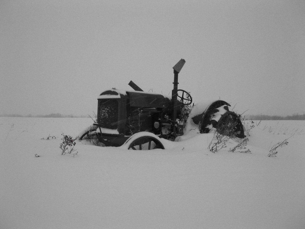Winter_chill_by_QuanticChaos1000.jpg
