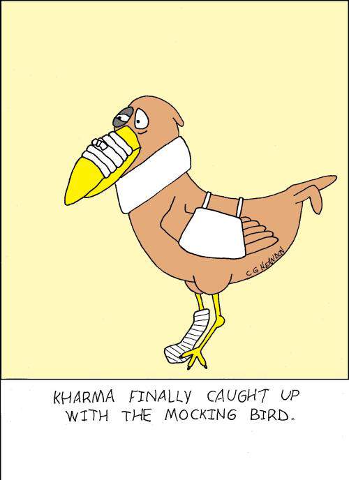 kharma-mocking-bird-color-jpeg.jpg?w=500&h=687
