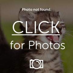 add1c33b.jpg