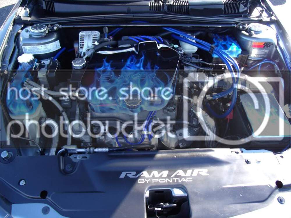 atcoraceway2010021.jpg