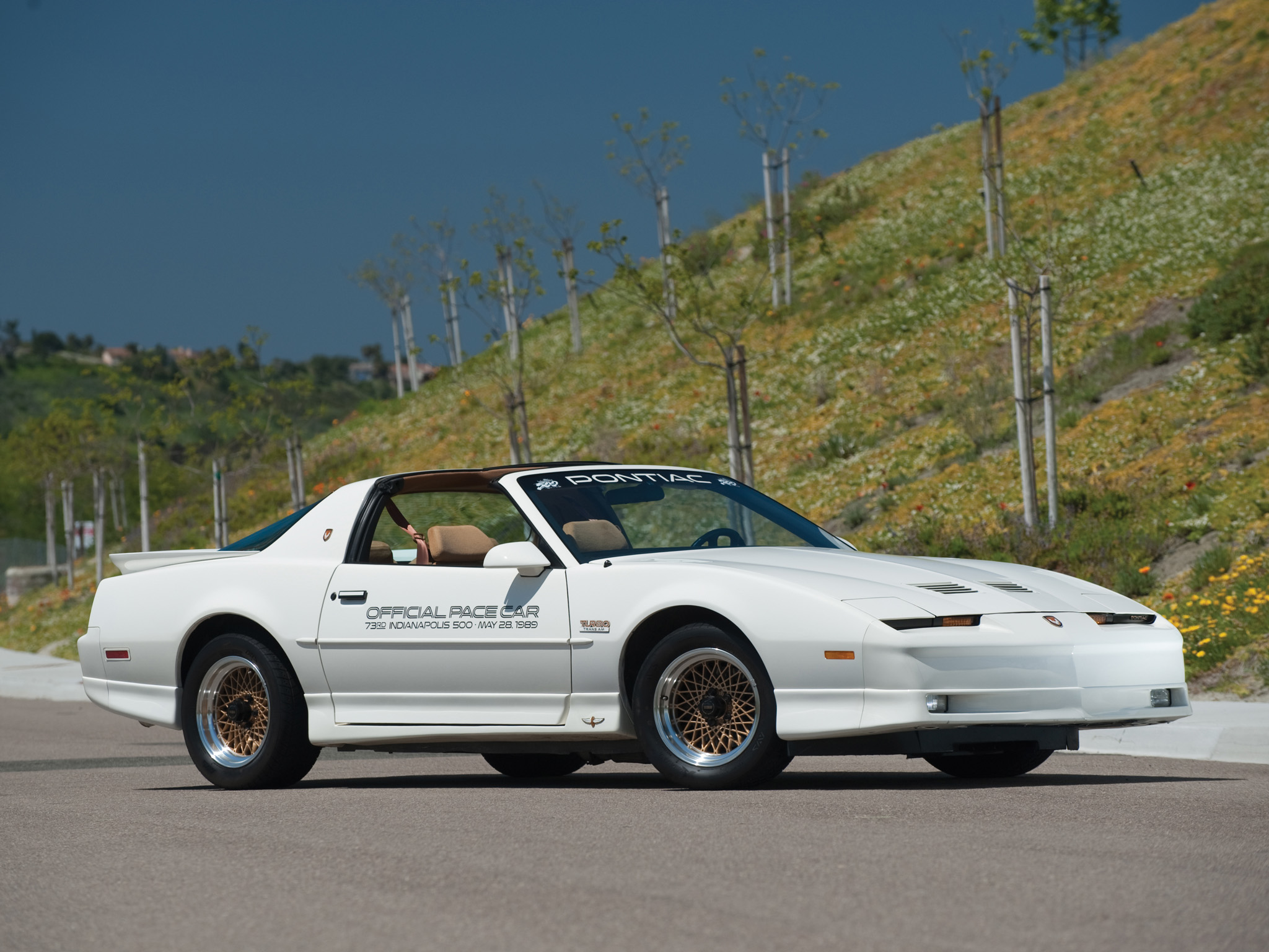 autowp.ru_pontiac_firebird_trans_am_20th