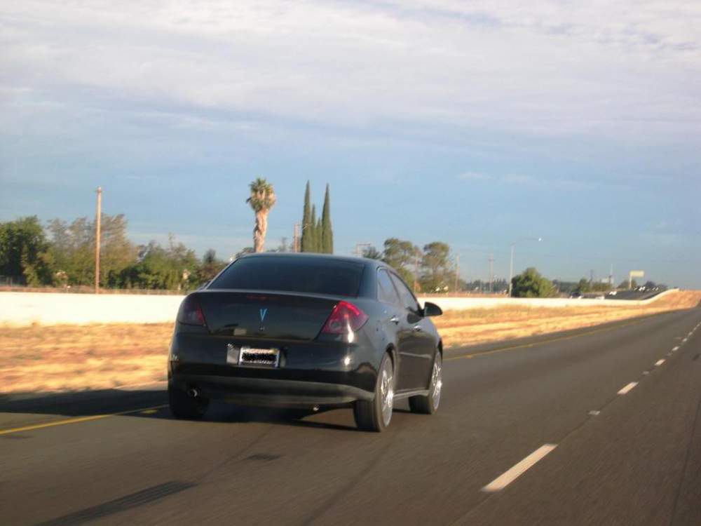 DSCN1683.jpg?t=1284936652