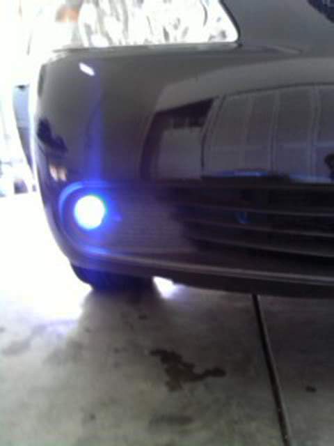 IMAG0482.jpg?t=1270522008