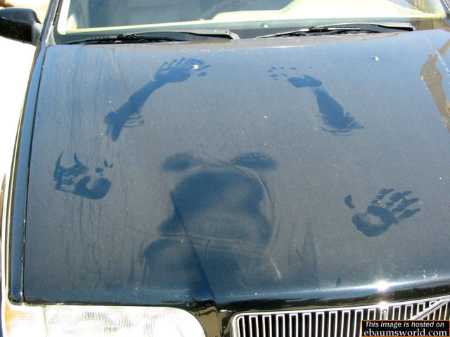 car_sex.jpg