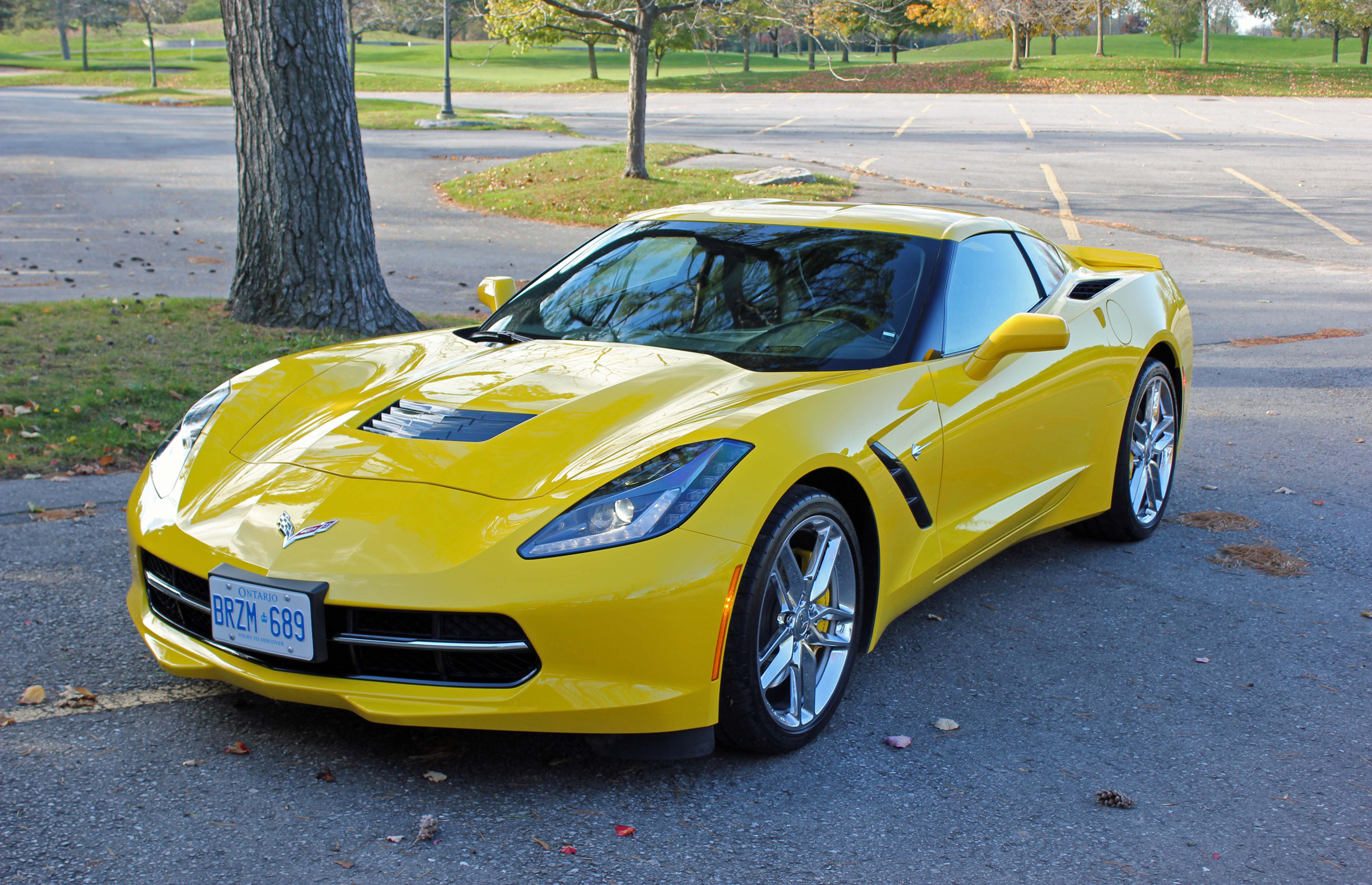corvette-9.jpg