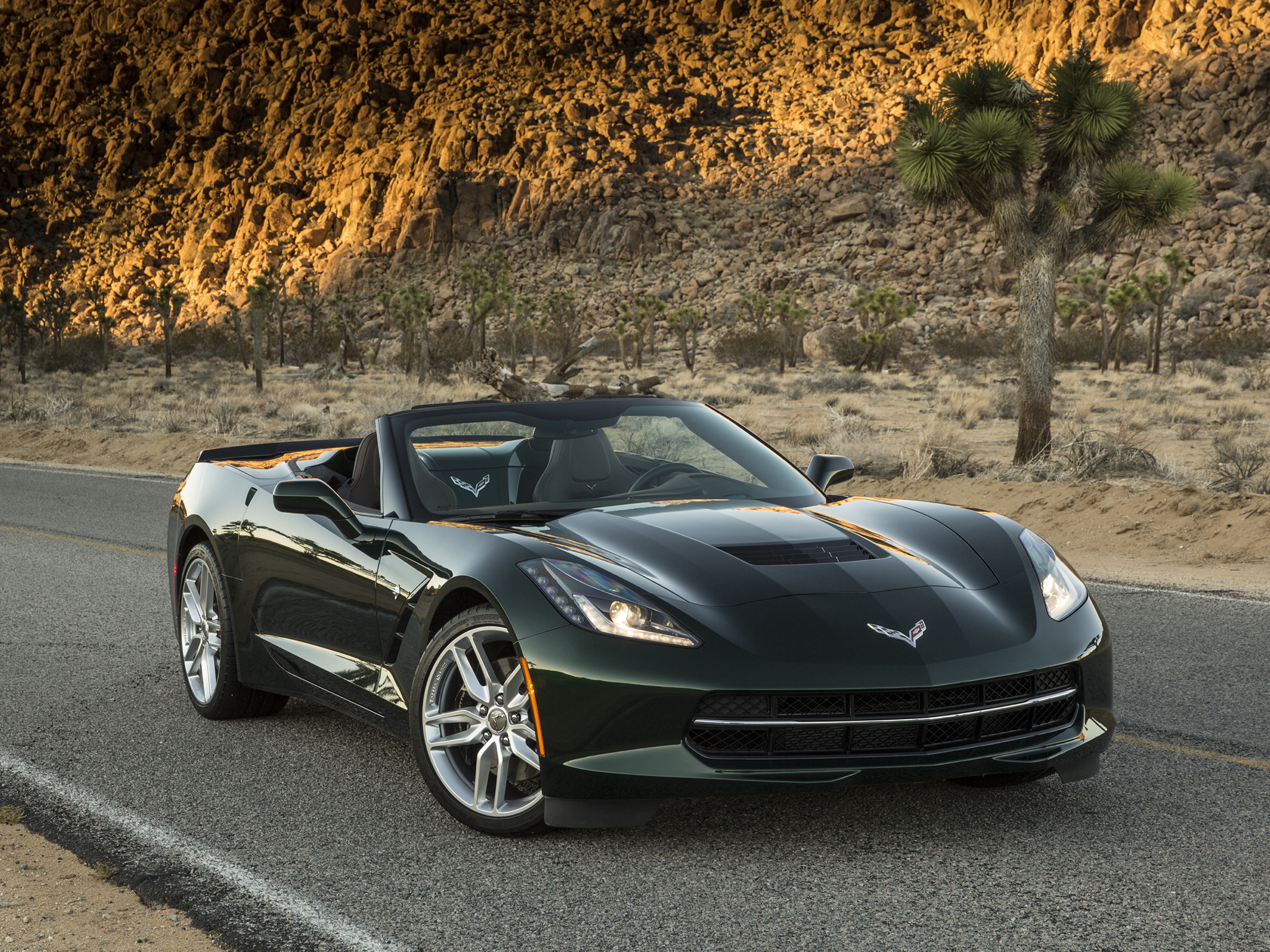 corvette_stingray_convertible_20.jpg