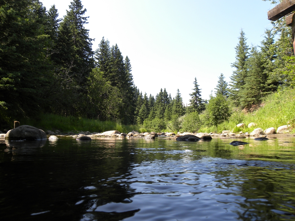 crossing_the_creek_by_quanticchaos1000-d5egpq3.jpg