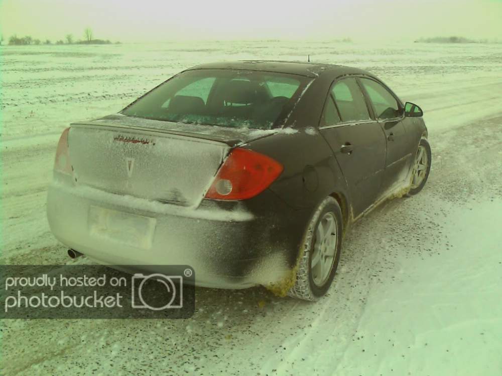 IMAGE_010BLUR.jpg?t=1262469220