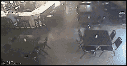 deer-in-a-bar.gif