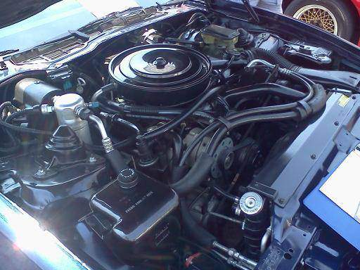downsized_0610121227b.jpg
