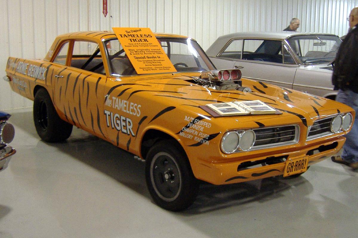 eswick63TempestTamelessTiger18-vi.jpg