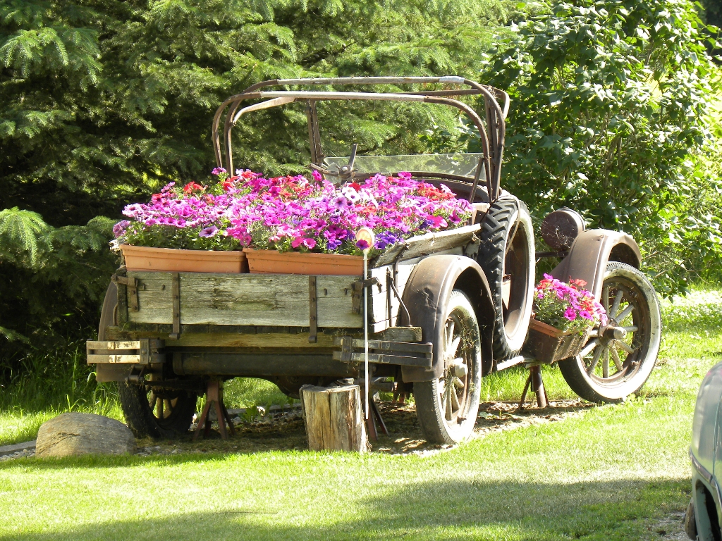 flower_bed_by_quanticchaos1000-d5e7lq2.jpg