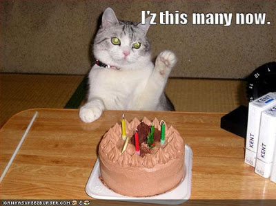 funny-pictures-birthday-cat-can-count.jpg