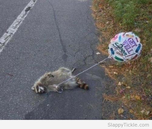 get-well-soon-road-kill-balloon.jpg