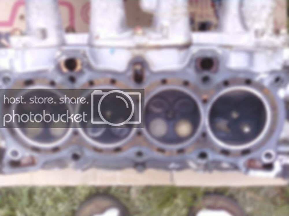 img1271550567243.jpg