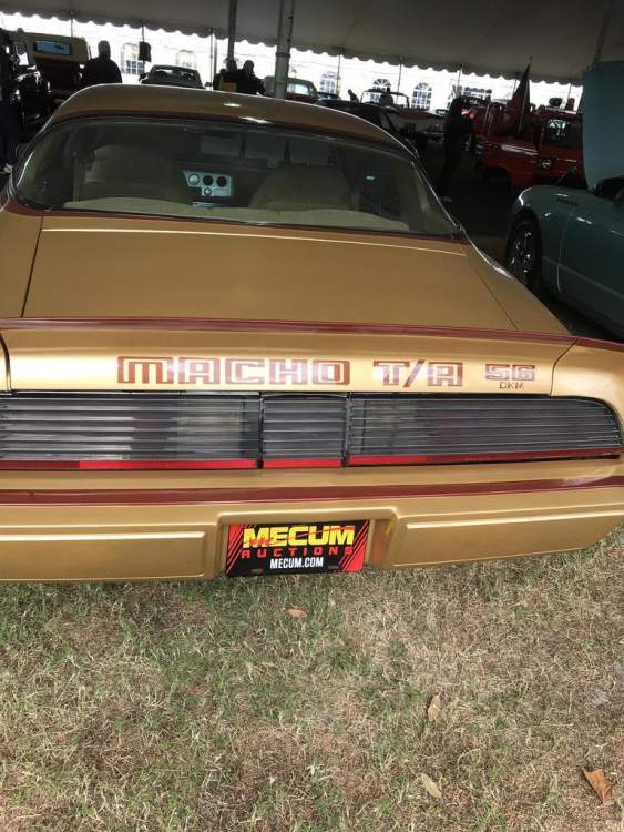 macho_zpslt87gu06.jpeg