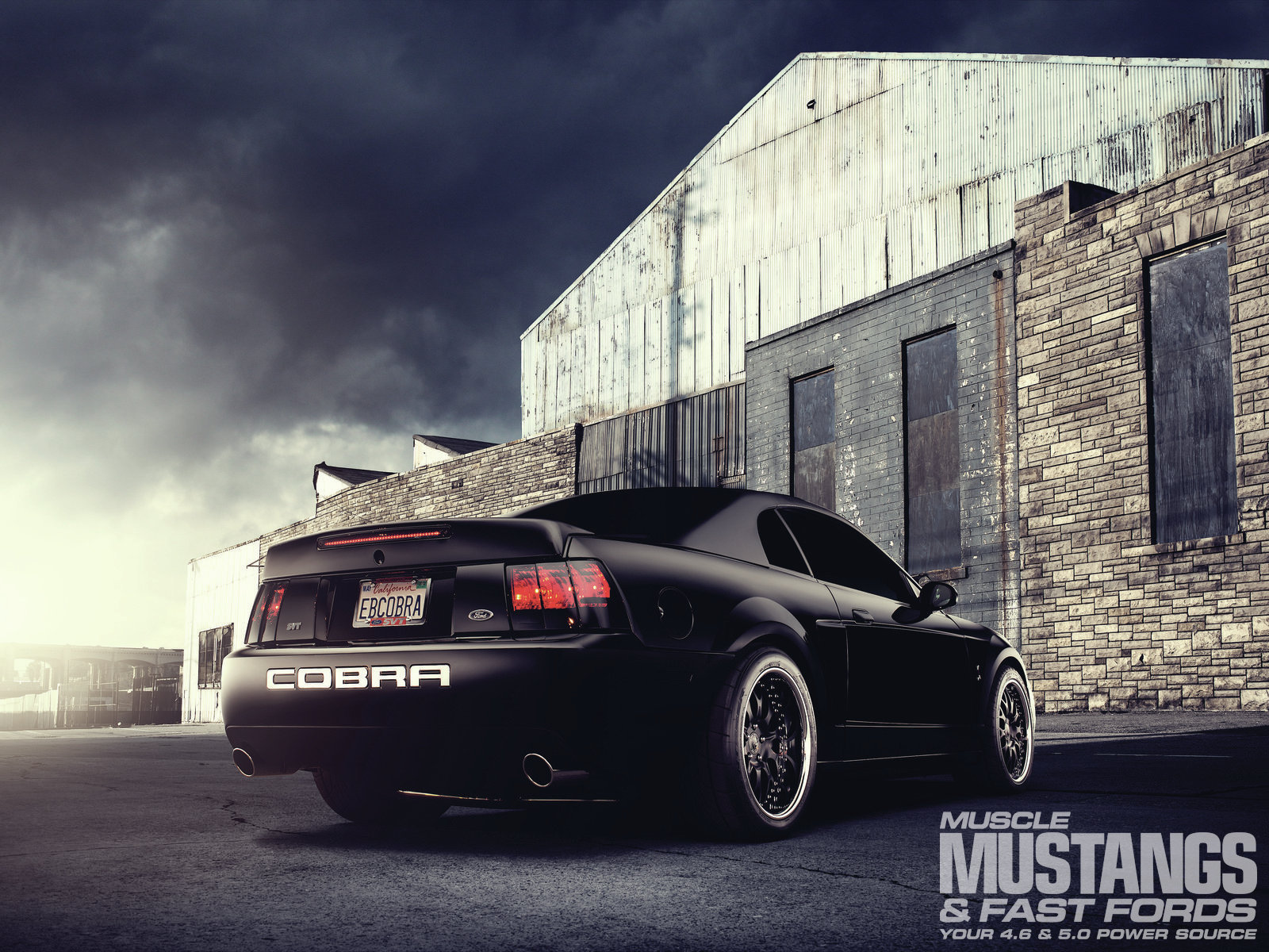 mmfp_1208_03_2004_ford_mustang_cobra_serpent_socialite_.jpg