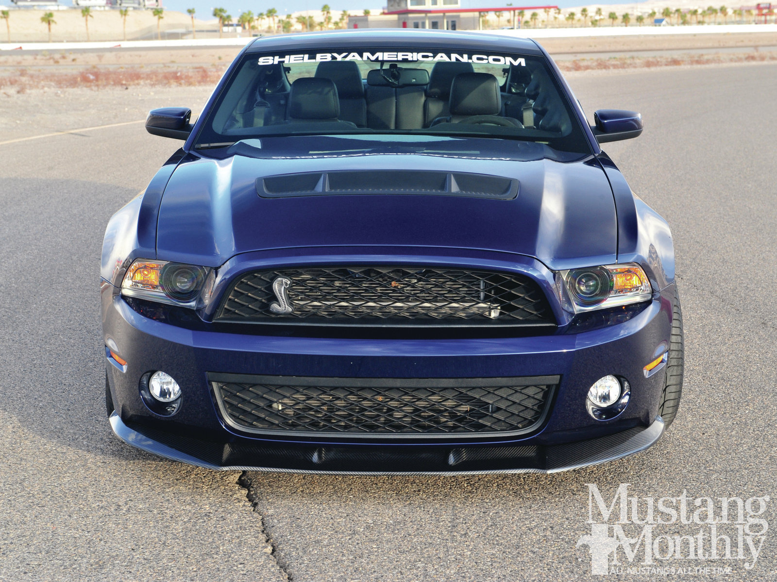 mumo_1205_005_shelby_1000_gentle_giant_.jpg
