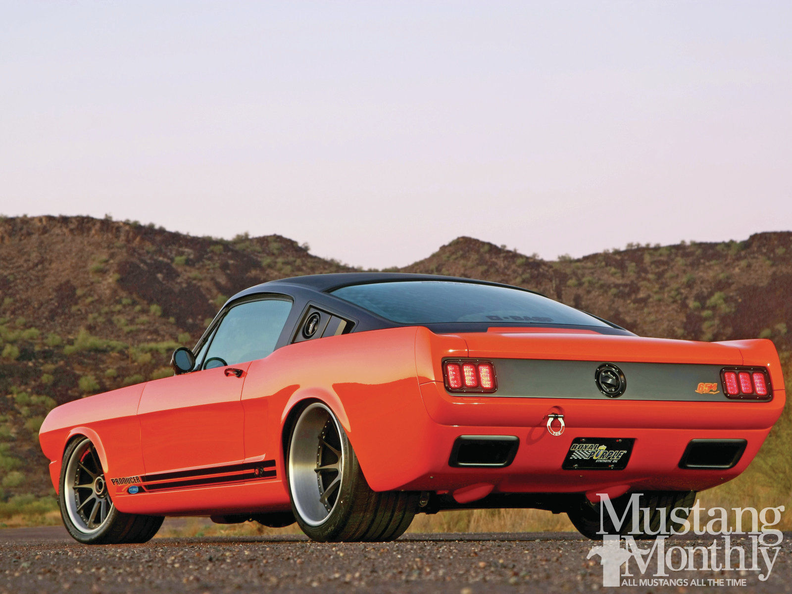 mump_1206_012_1965_mustang_fastback_the_producer_.jpg