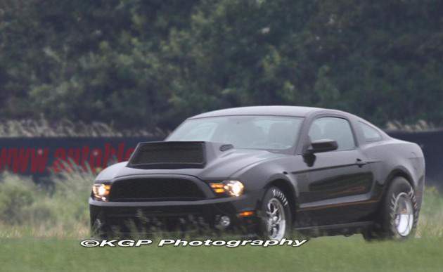 mustangcjt01kgplede.jpg