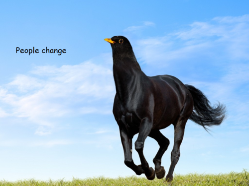 null_zpsf510516c.png