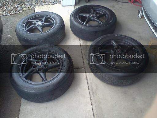 plasti3.jpg