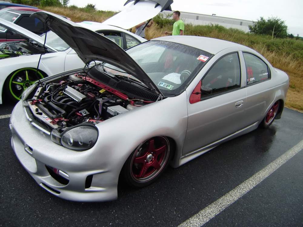 rice11.jpg