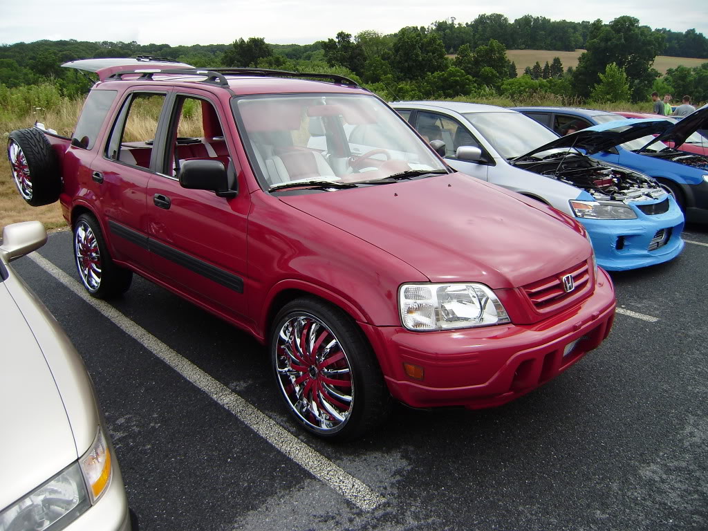 rice15.jpg