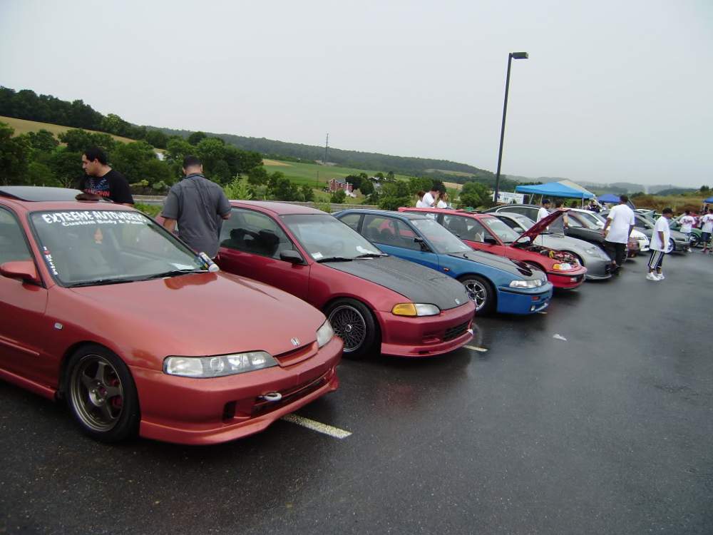 rice36.jpg