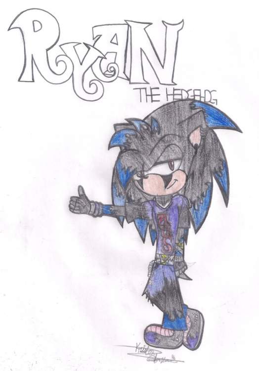 ryan_the_hedgehog___new_design_by_daringashia-d4n1whi.png