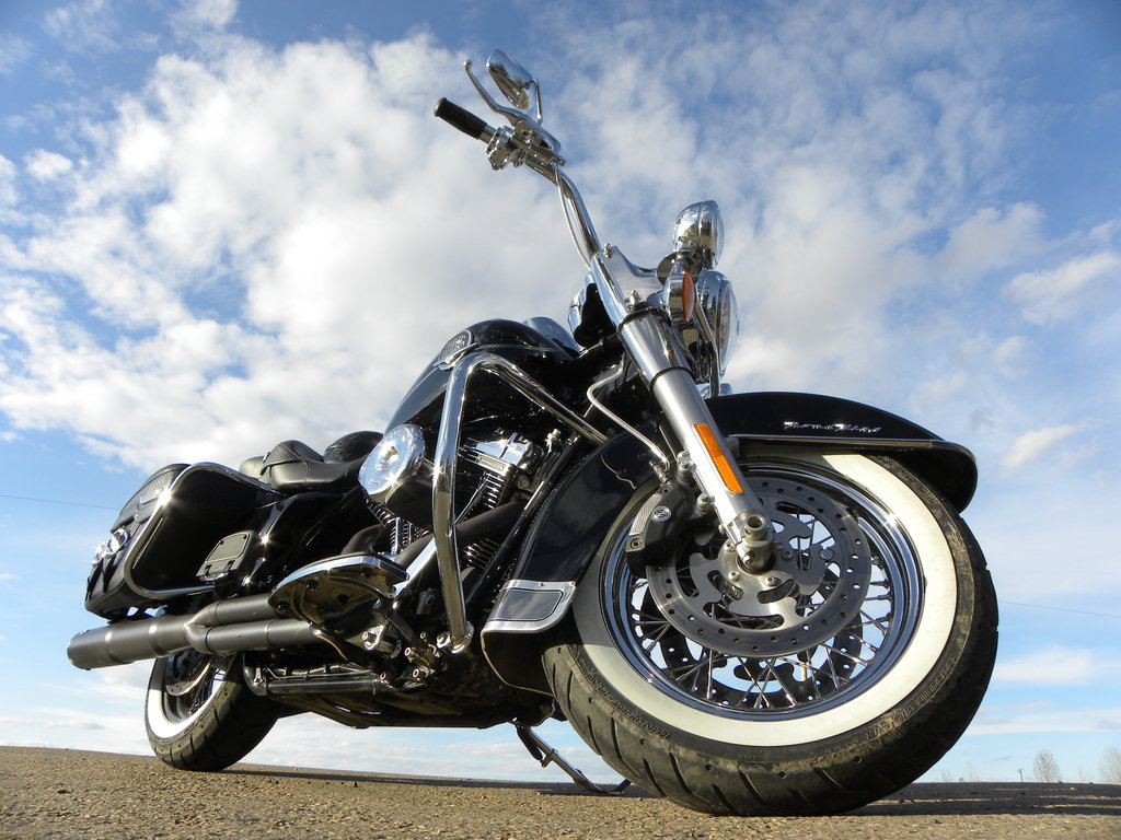 sky_and_harley_by_quanticchaos1000-d3j8x0w.jpg