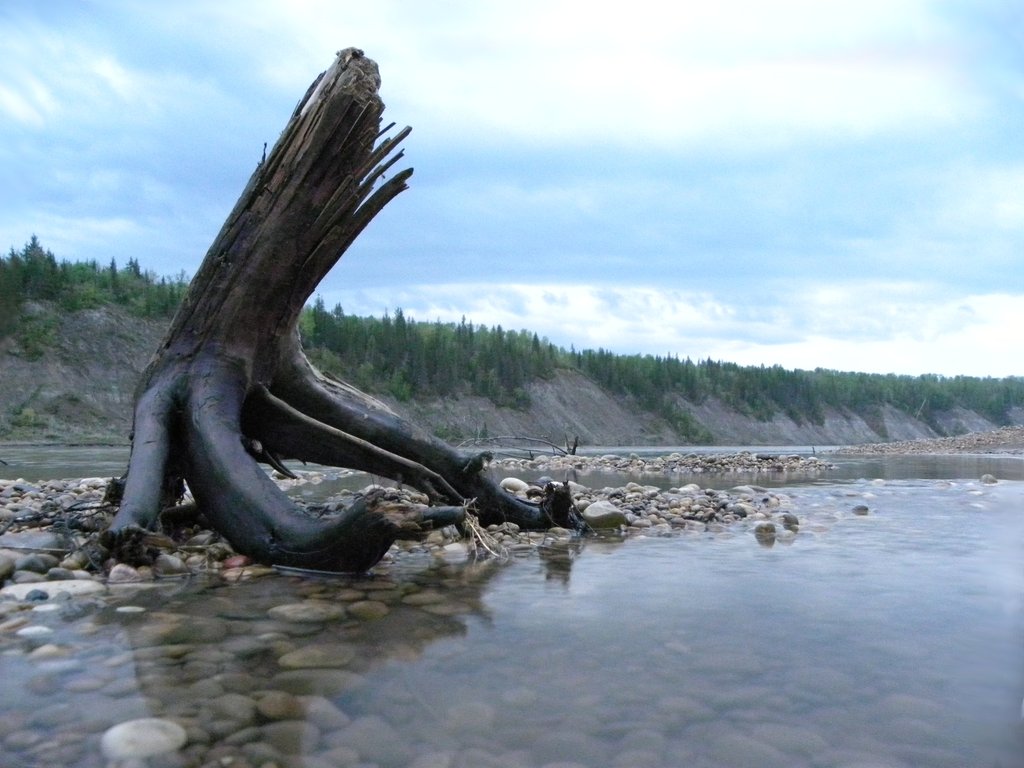 stumped_by_quanticchaos1000-d3j4li4.jpg