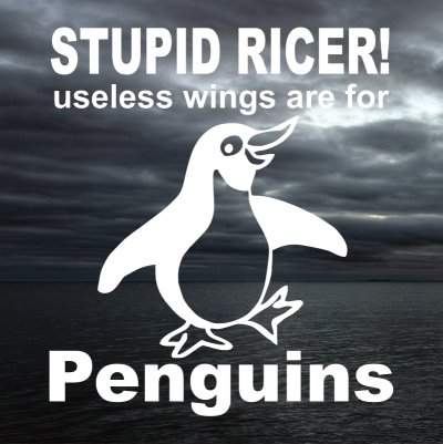 stupid_ricer_useless_wings.jpg