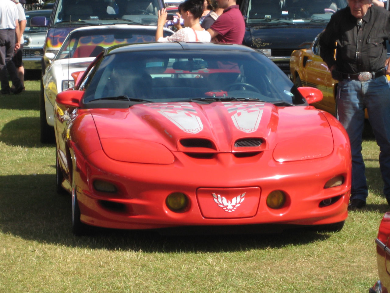 transamdan-albums-worthing-2013-picture2