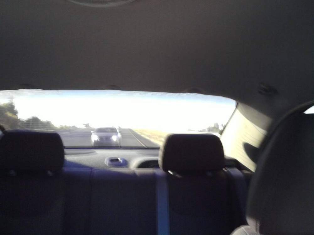 trip5.jpg