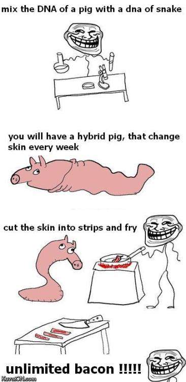 tumblr_lbupz8ZHZm1qe2mq3o1_500.jpg