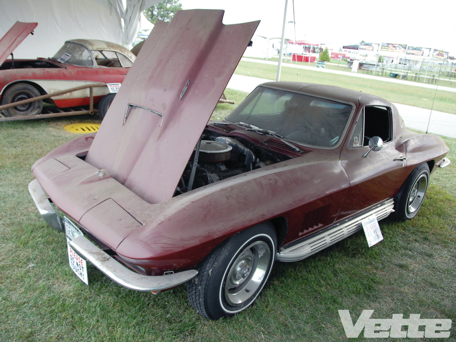 vemp-1203-funfest-2011-fine-tuning-013.jpg