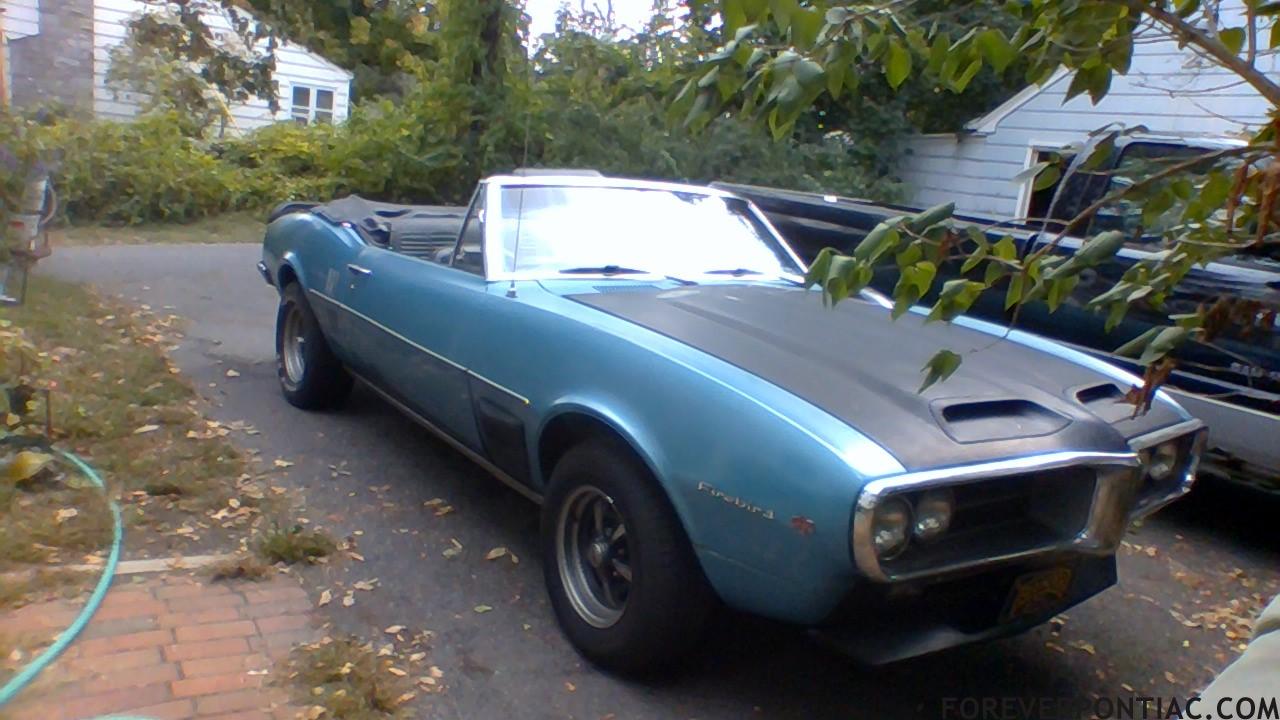 Mutt455
